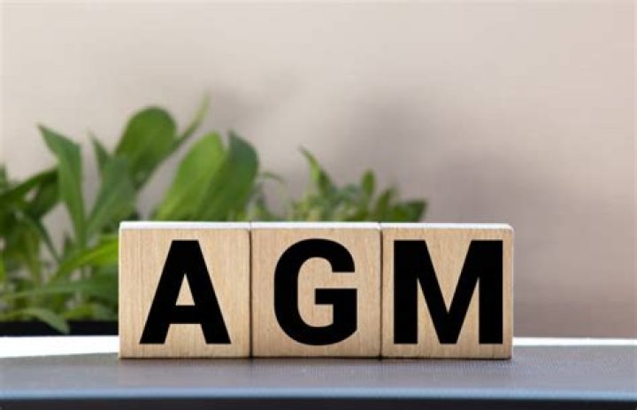 agm stock