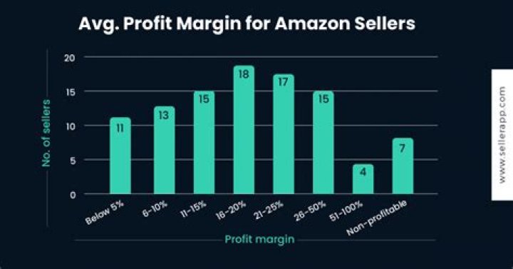 amazon profit