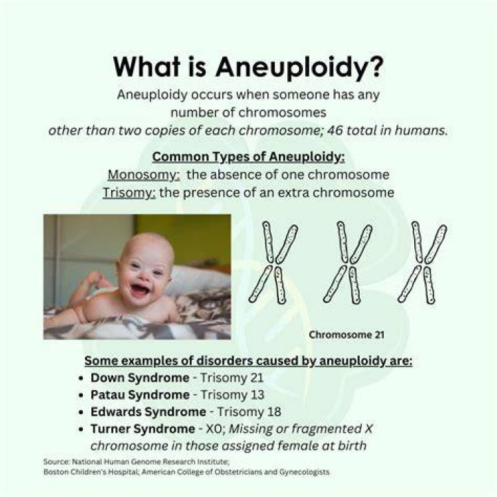 aneuploidy definition