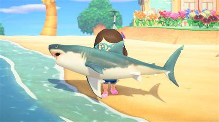 animal crossing shark
