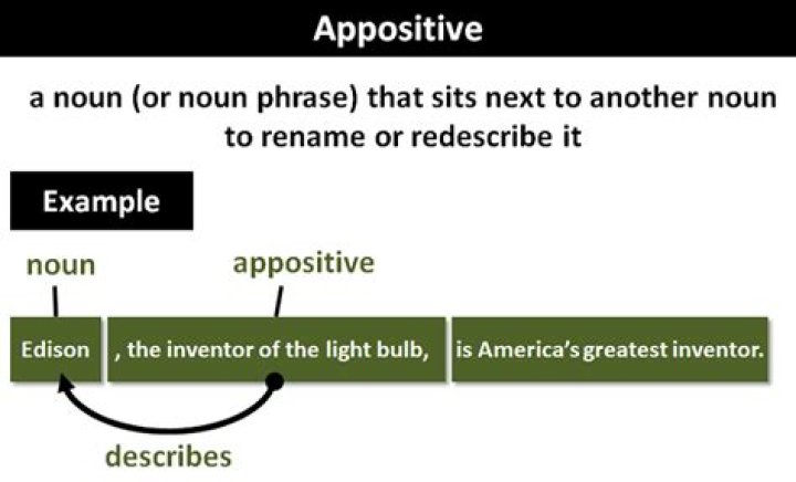 appositive examples