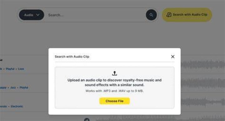 Audio Search