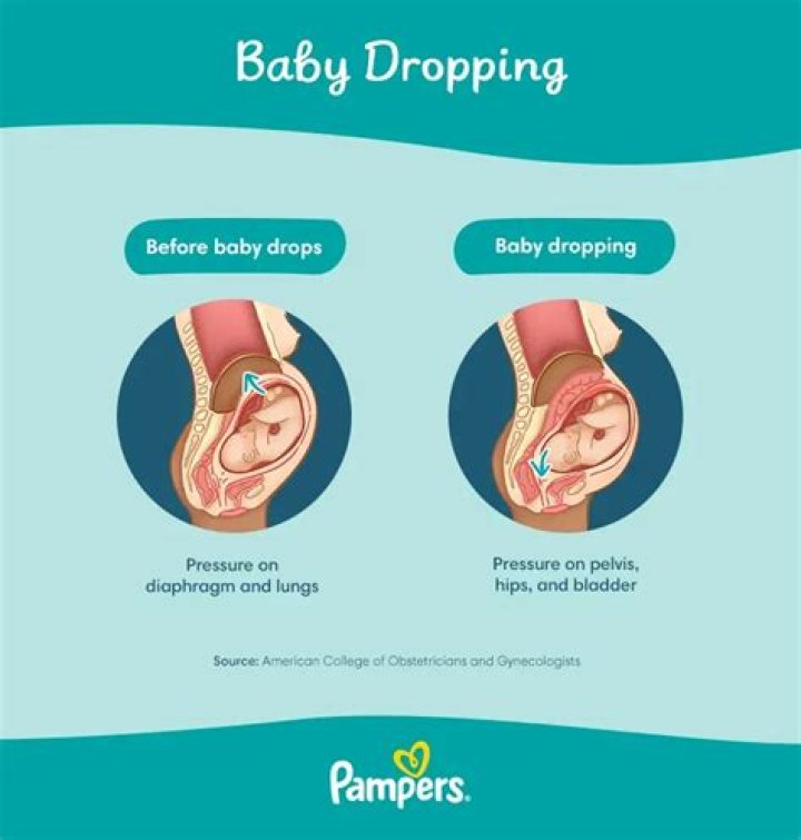 baby dropping