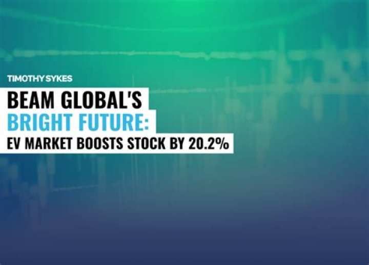 beam global stock