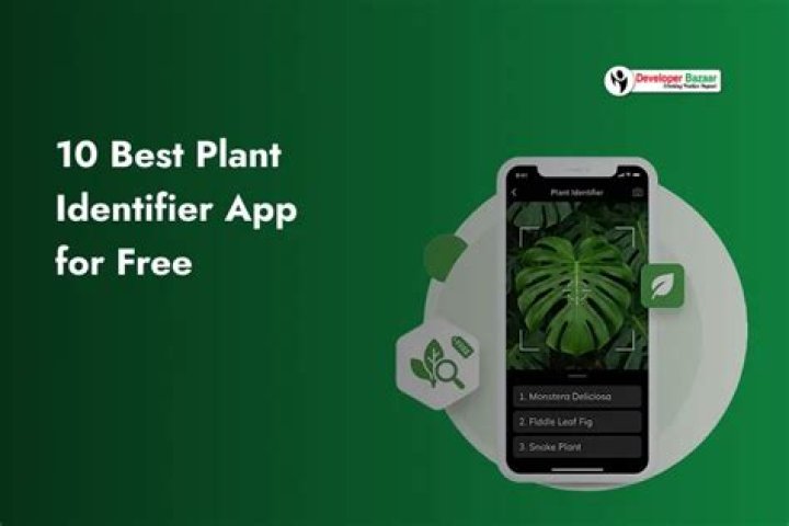 best plant identifier app