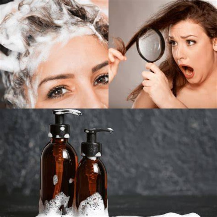 best shampoo for damaged bleached hair