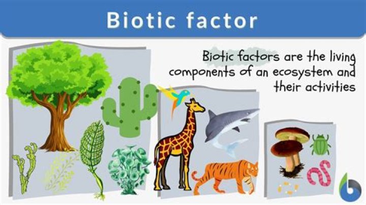 biotic