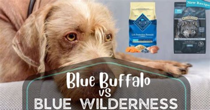 Blue Buffalo Vs Blue Wilderness Blue Buffalo Vs Blue Wilderness
