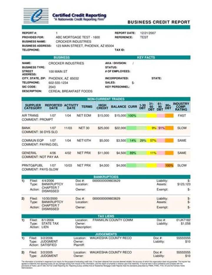 business credit report