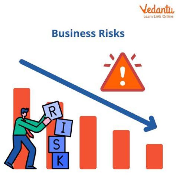 business risk