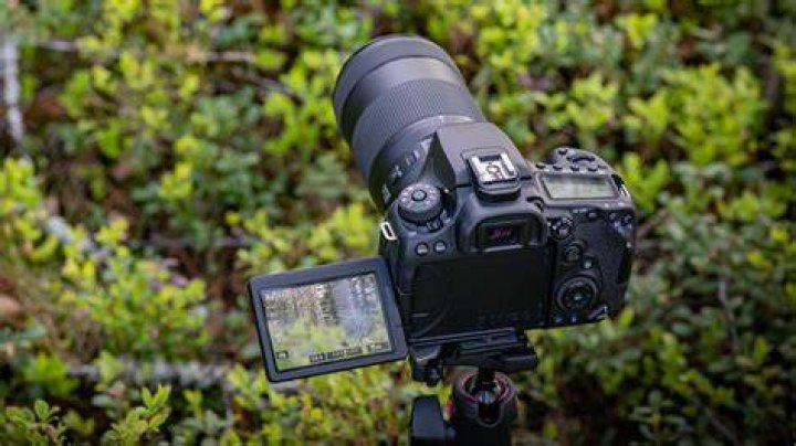 :camera: :camera: