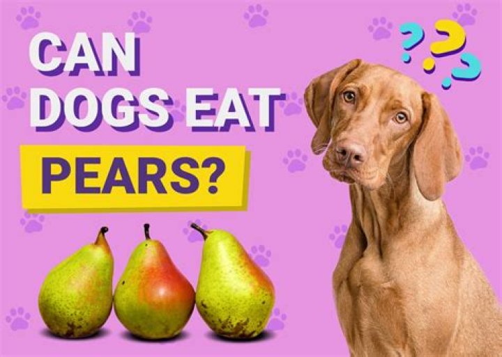 Can Dogs And Cats Eat Pears