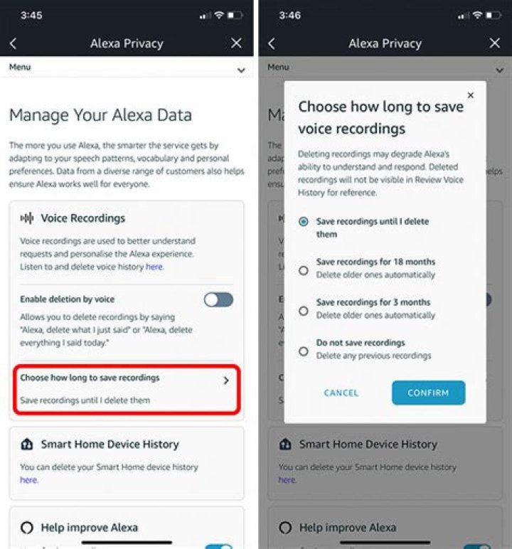 change alexa voice