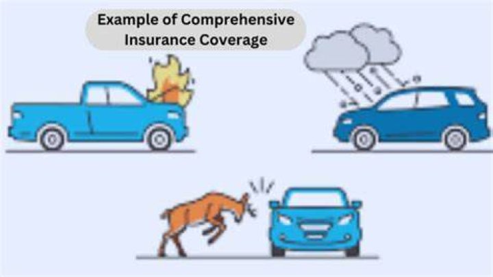 COMPREHENSIVE COVERAGE