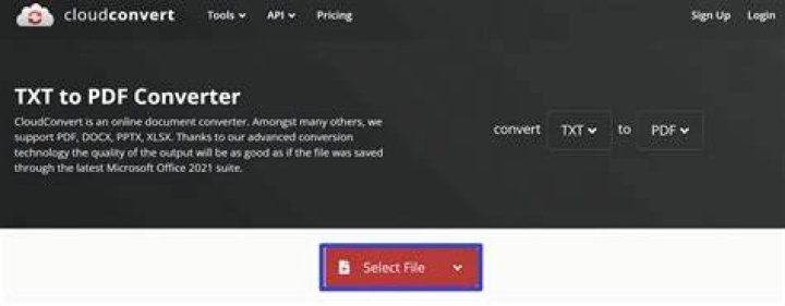 convert txt to pdf