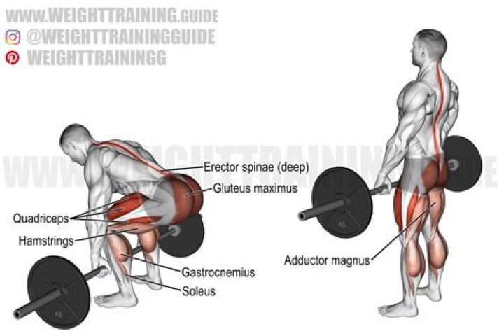 deadlift exercise