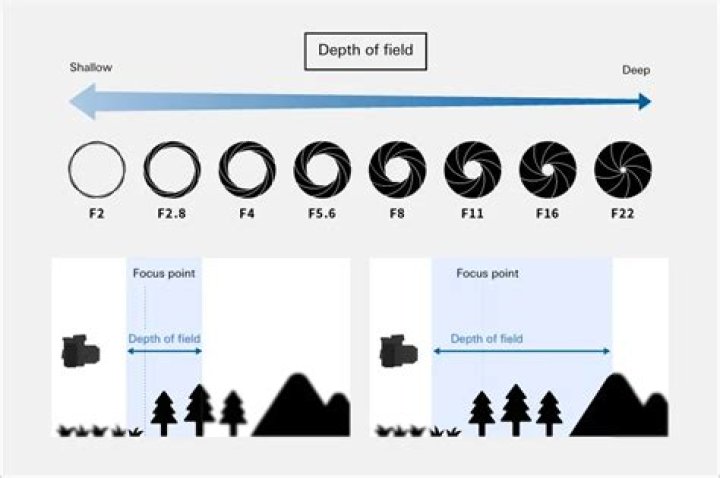 Depth Of Field