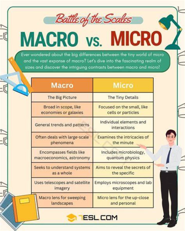difference between micro and macro economics