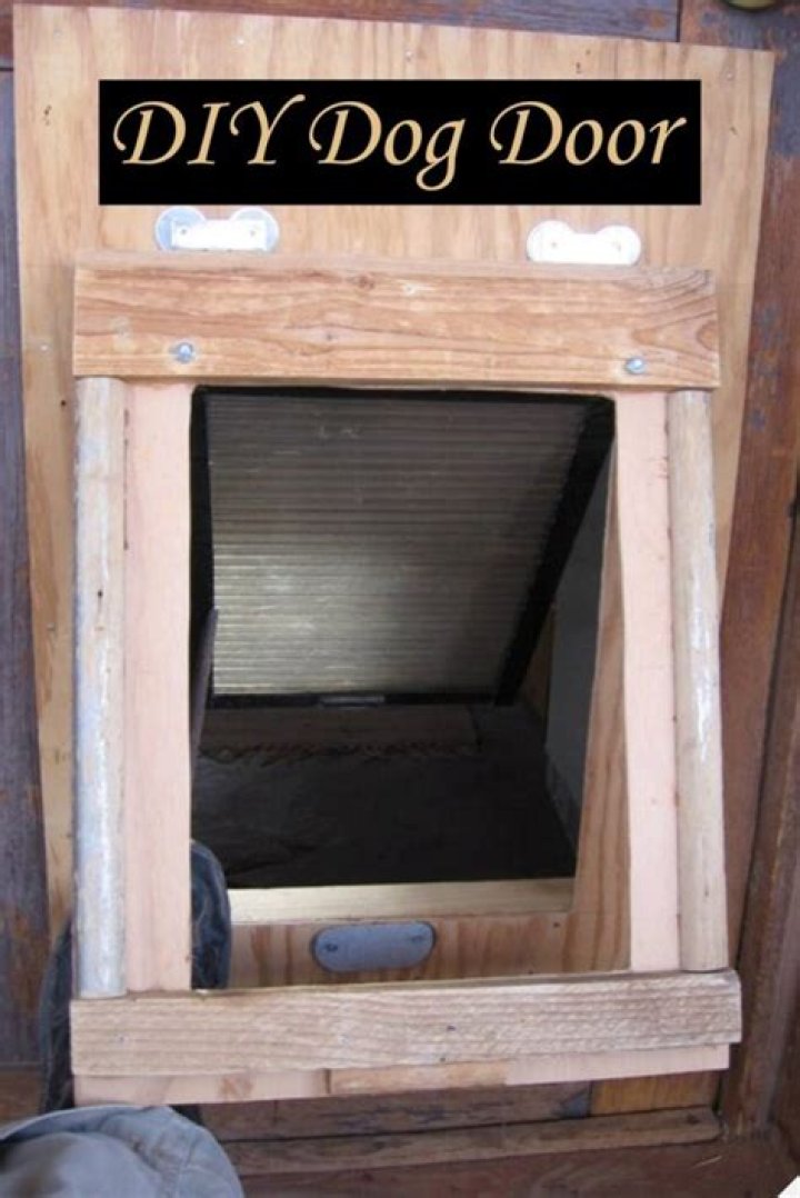 diy dog door