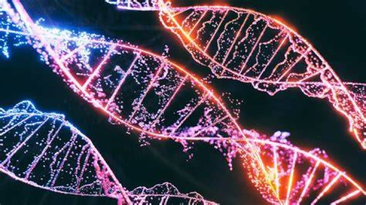 DNA SCIENCE