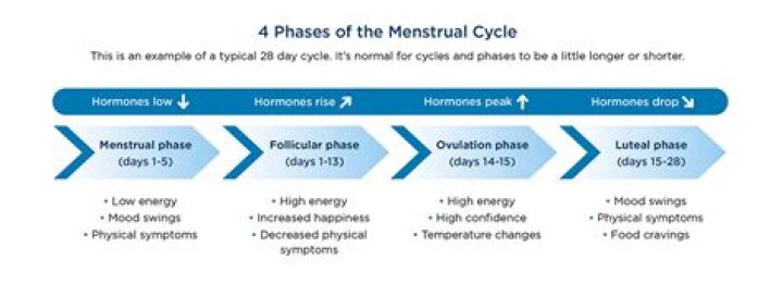 Does Lemon Juice Stop Your Menstrual Cycle