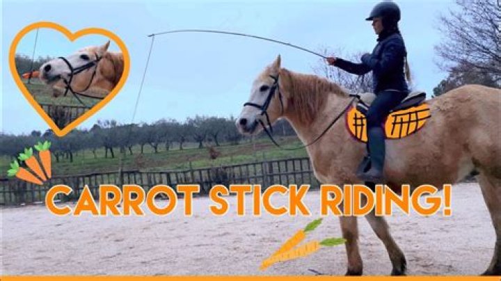 Does Riding Skill And Carrot On A Stick Stack Classic