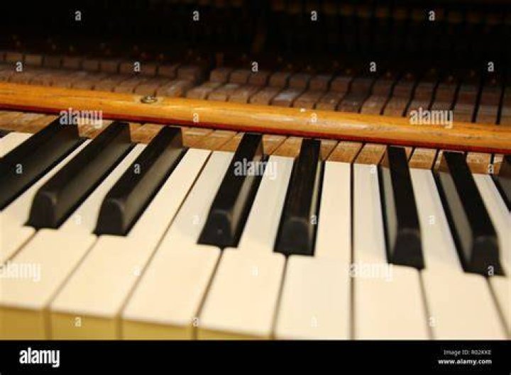Ebony piano keys