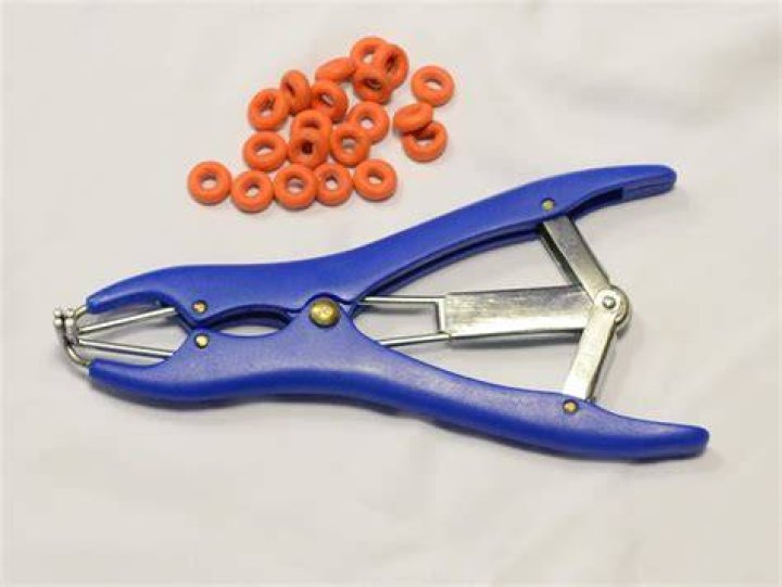 elastrator
