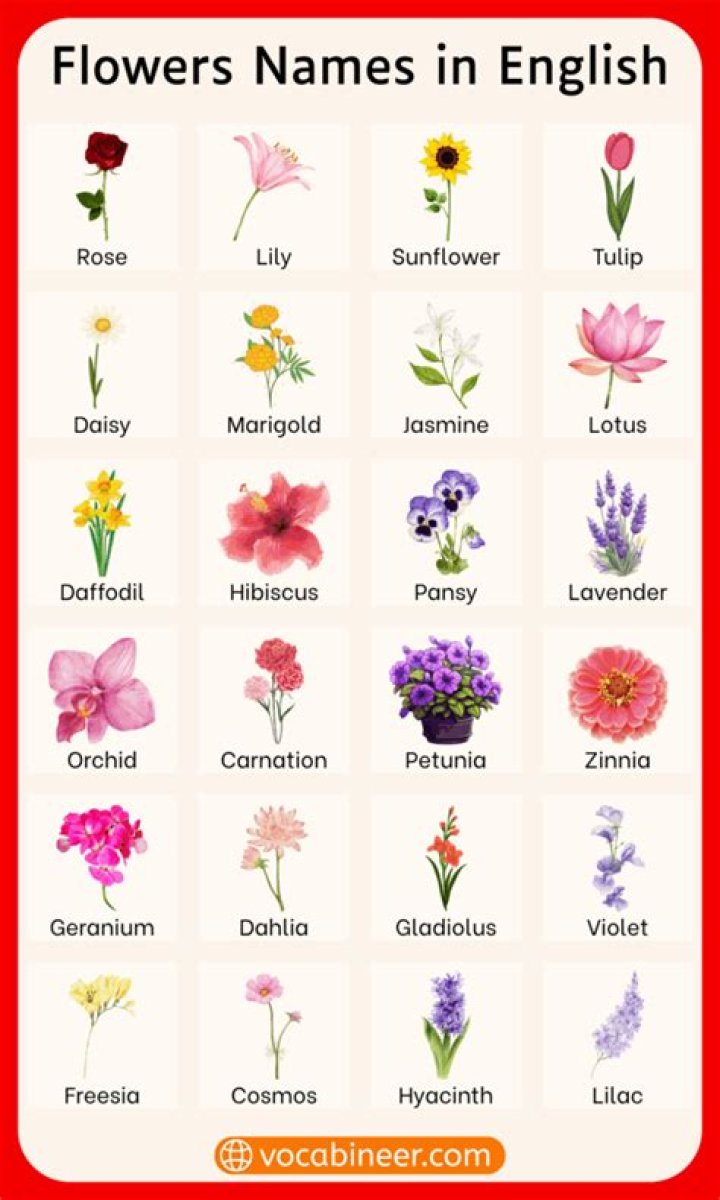 english flowers