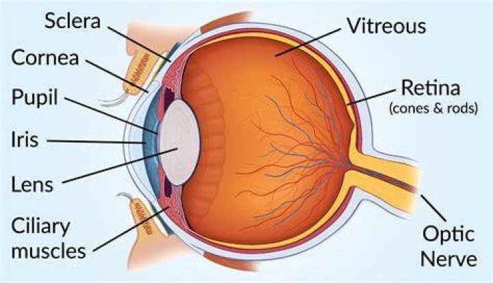 :eye: :eye: