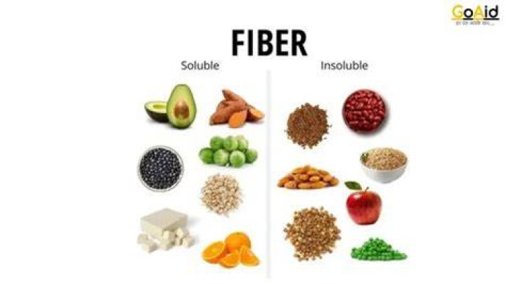 Fibre