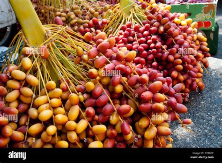 fresh dates fruit