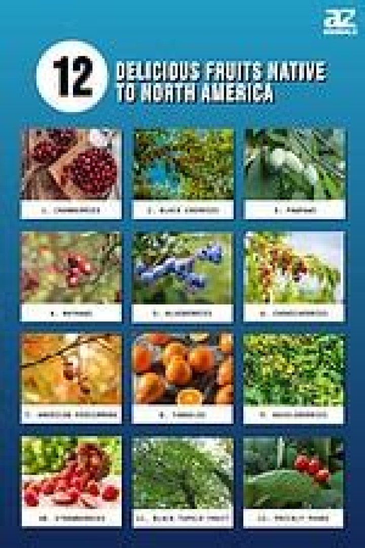 fruits native to north america