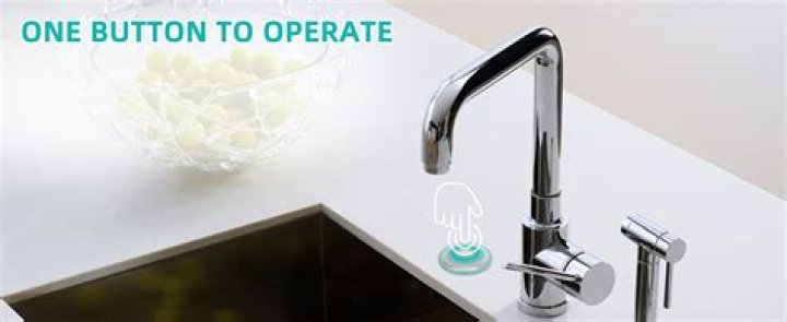 garbage disposal button