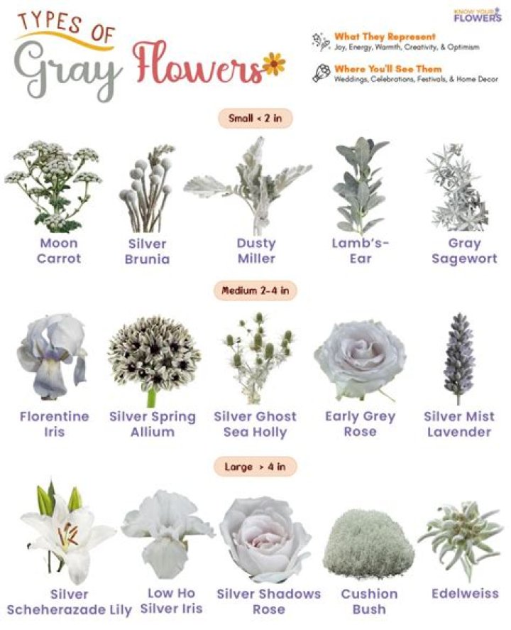 gray flowers