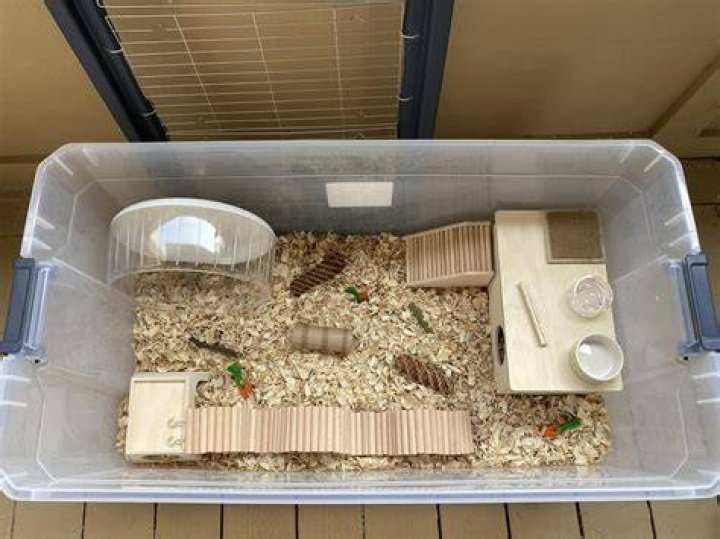 hamster bin cage