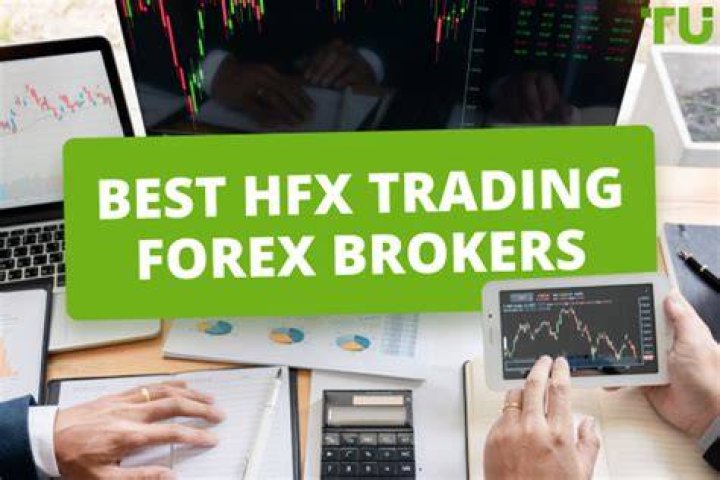 hfx forex