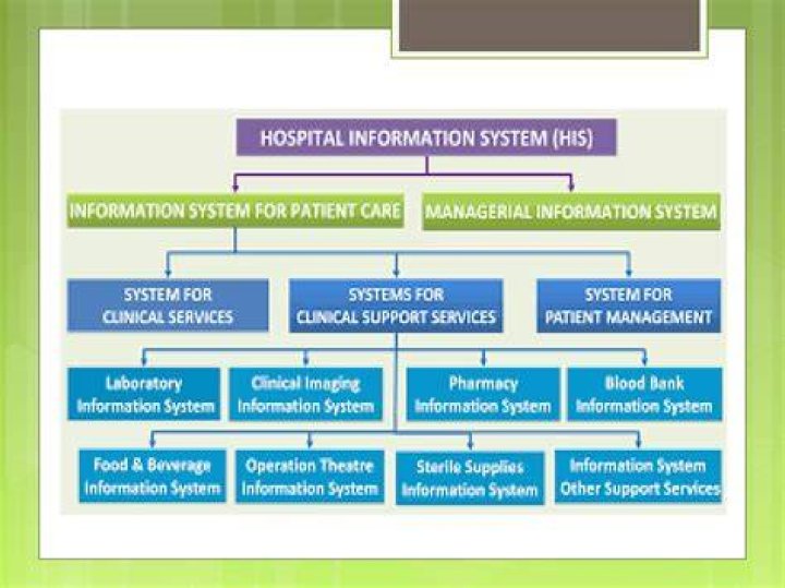 HIS (Hospital Information System Or Healthcare Information System)