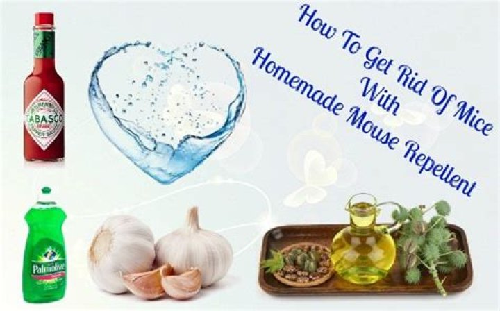homemade mouse repellent