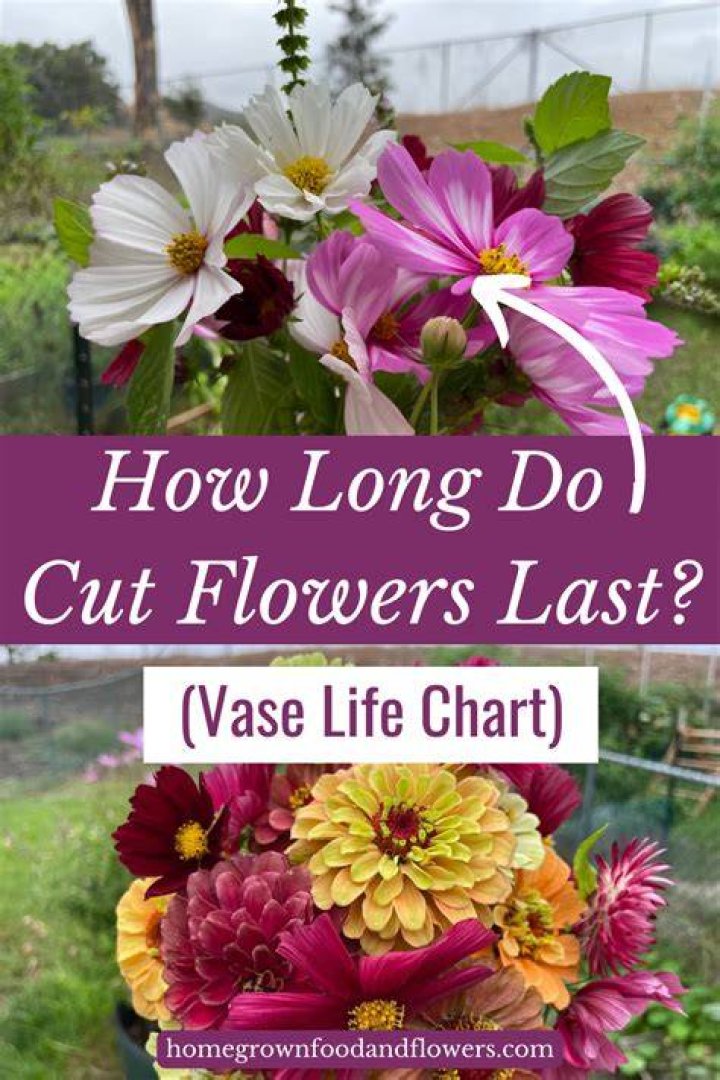how long do flowers last