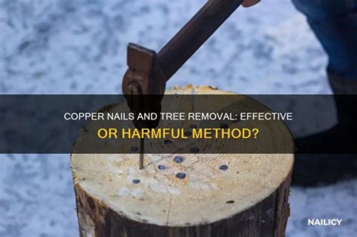 How Many Copper Nails To Kill A Tree