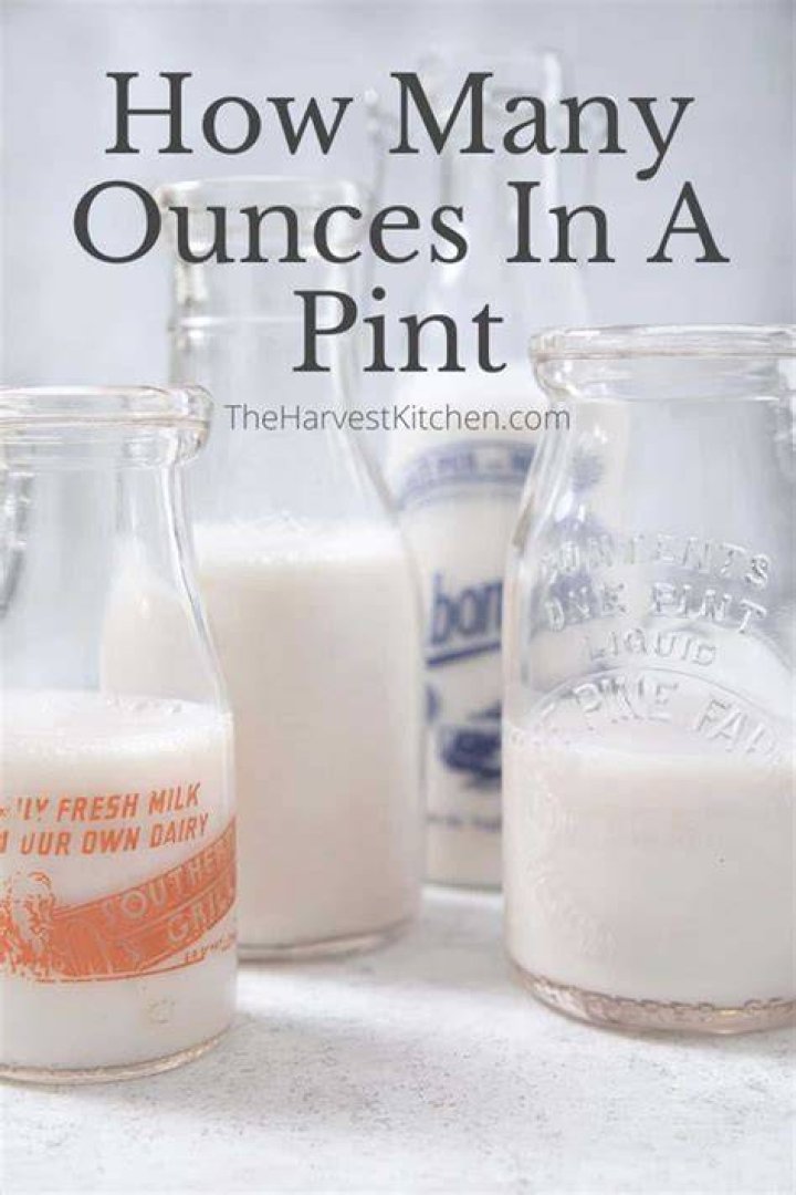 How Many Ounces In A Pound