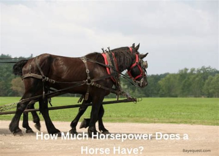 how much horsepower does a tesla have