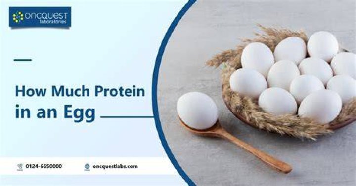 how much protein in an egg