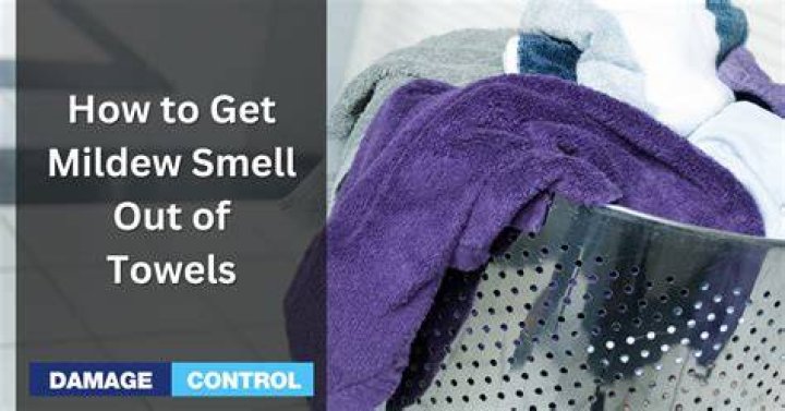 How To Get Mildew Smell Out Of Clothes
