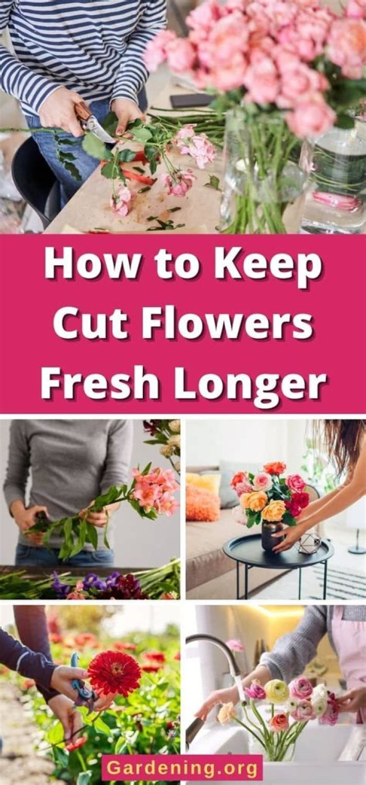 how to keep cut flowers fresh