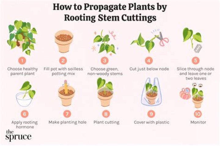 how to make a plant hanger