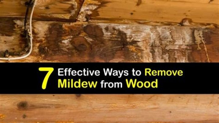 how to remove mildew from fabric