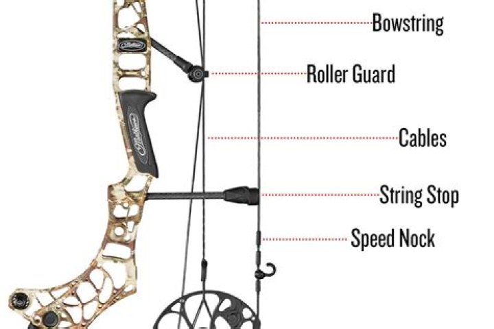 How To String A Compound Bow Diagram