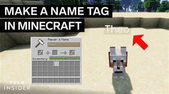 How To Use Name Tags In Minecraft On A Dog